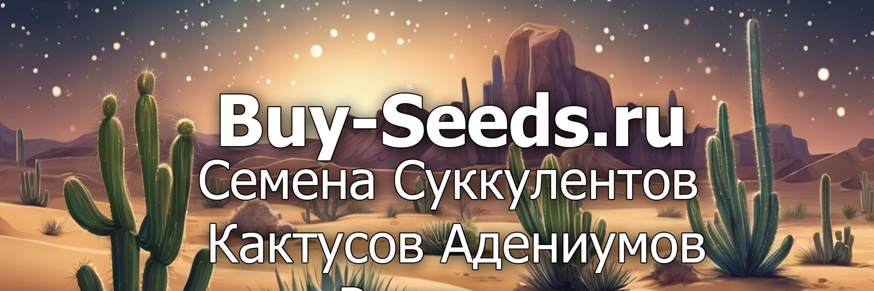 creator cover Buy-Seeds.ru