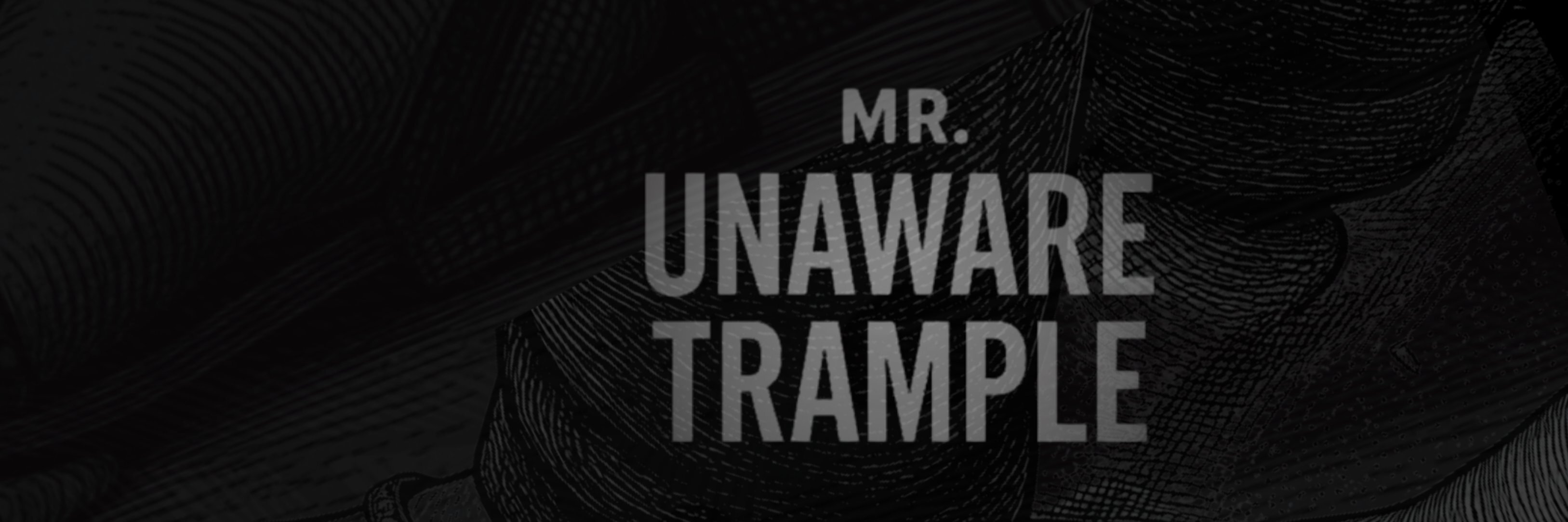 creator cover Mr Unaware Trample
