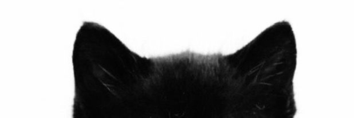 creator cover SimurrA