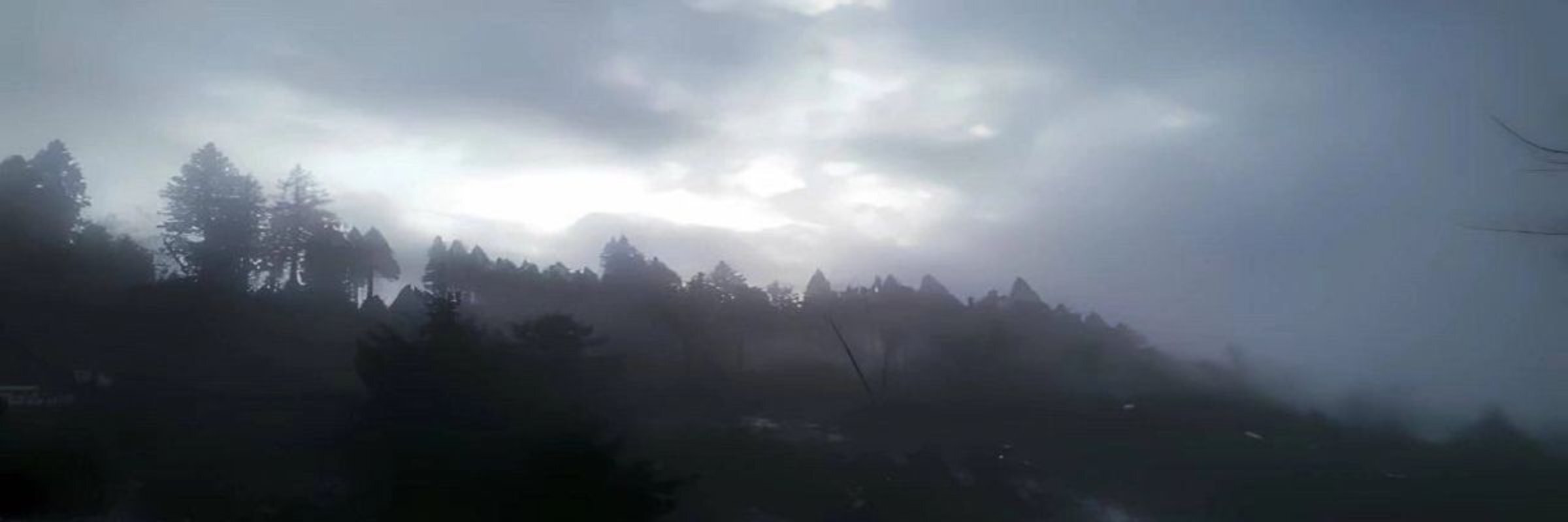 creator cover ICY