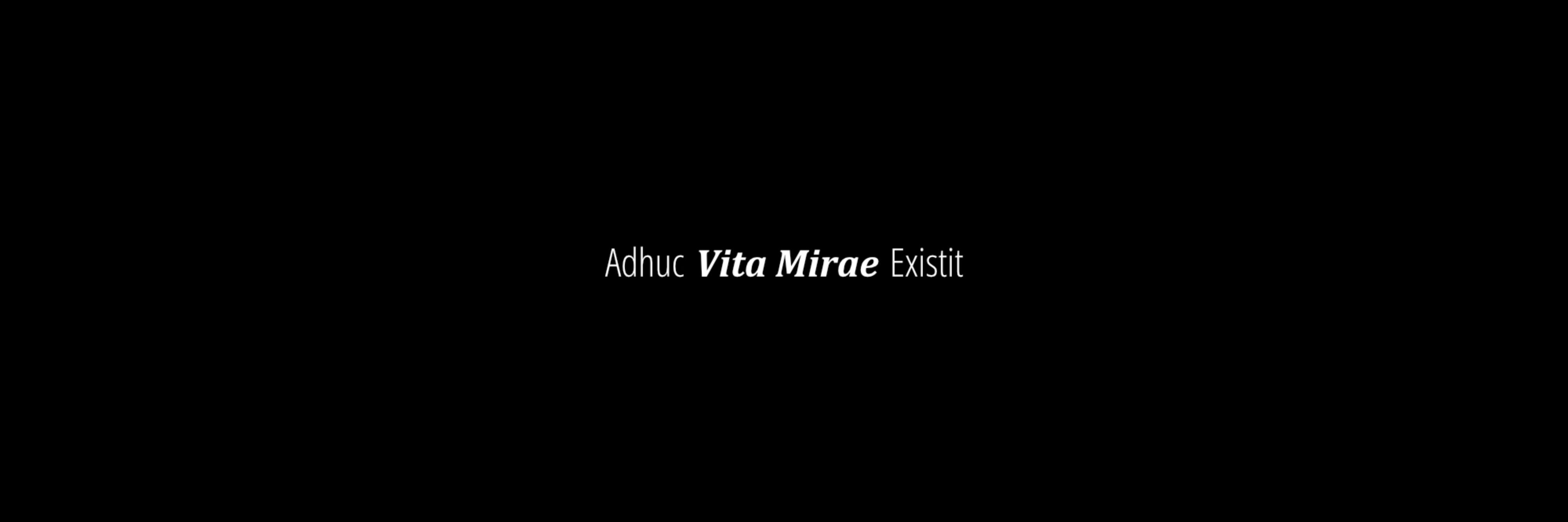 creator cover Vita Mirae