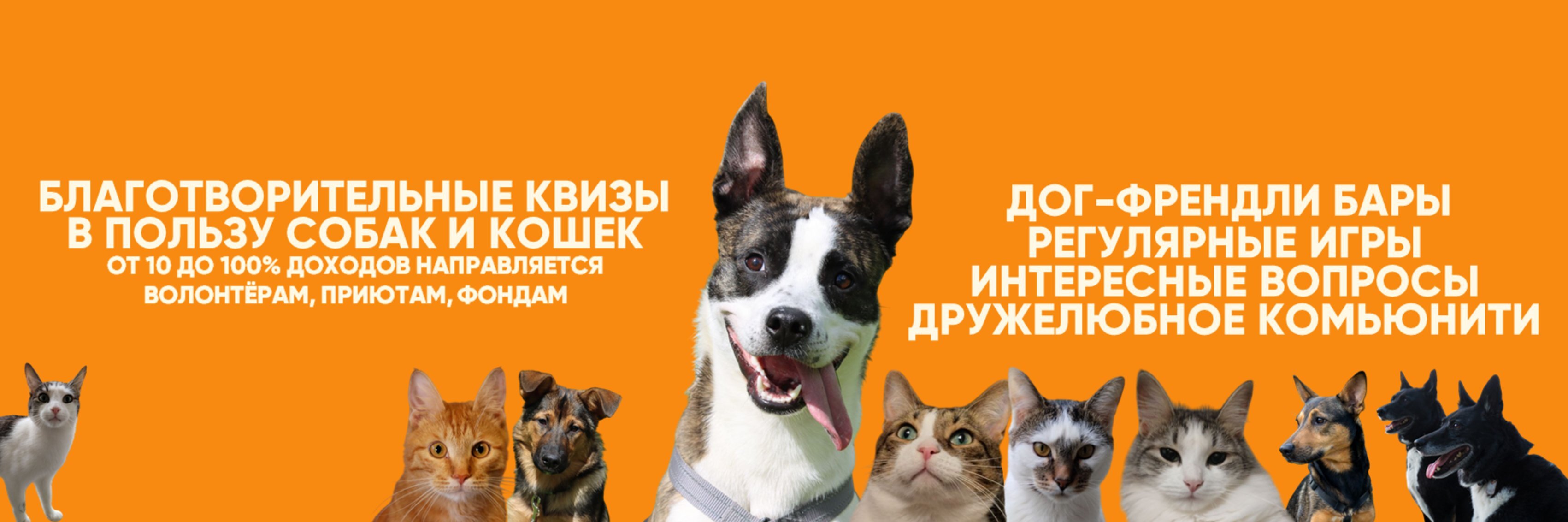 creator cover Pet Quiz
