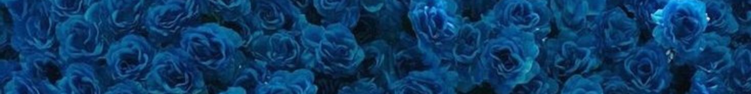 creator cover Stas0n41kk GG