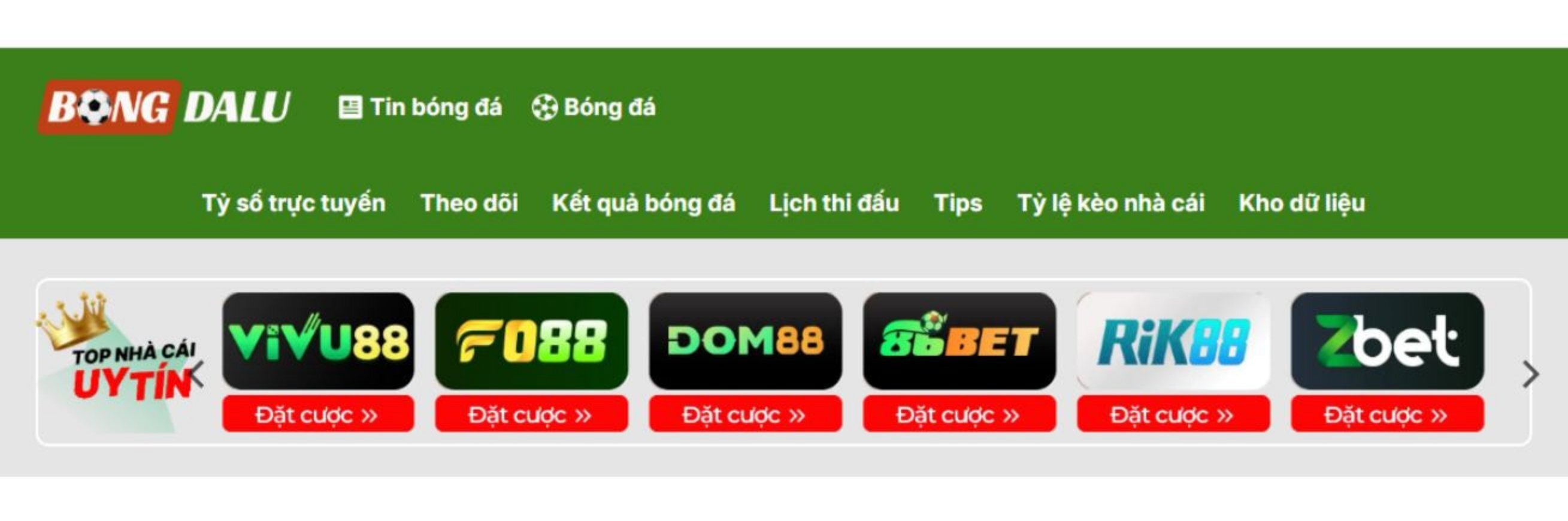 creator cover Bongdalu888 Com