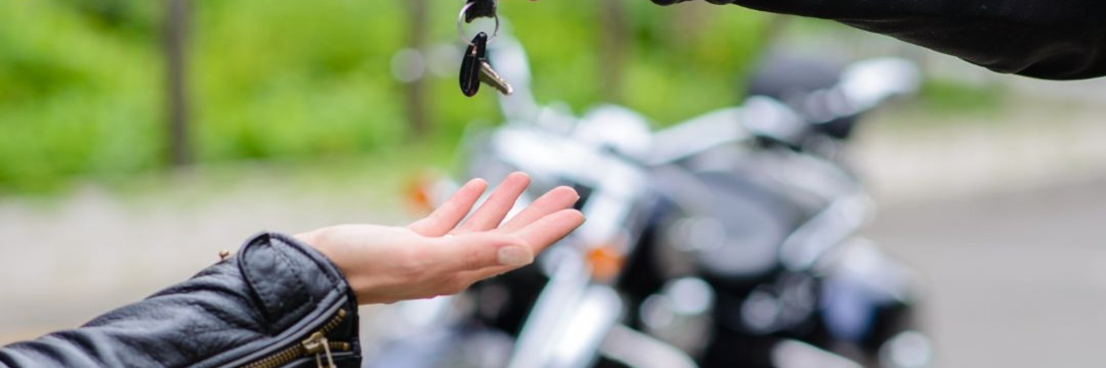 creator cover Ebike Rental Mljet