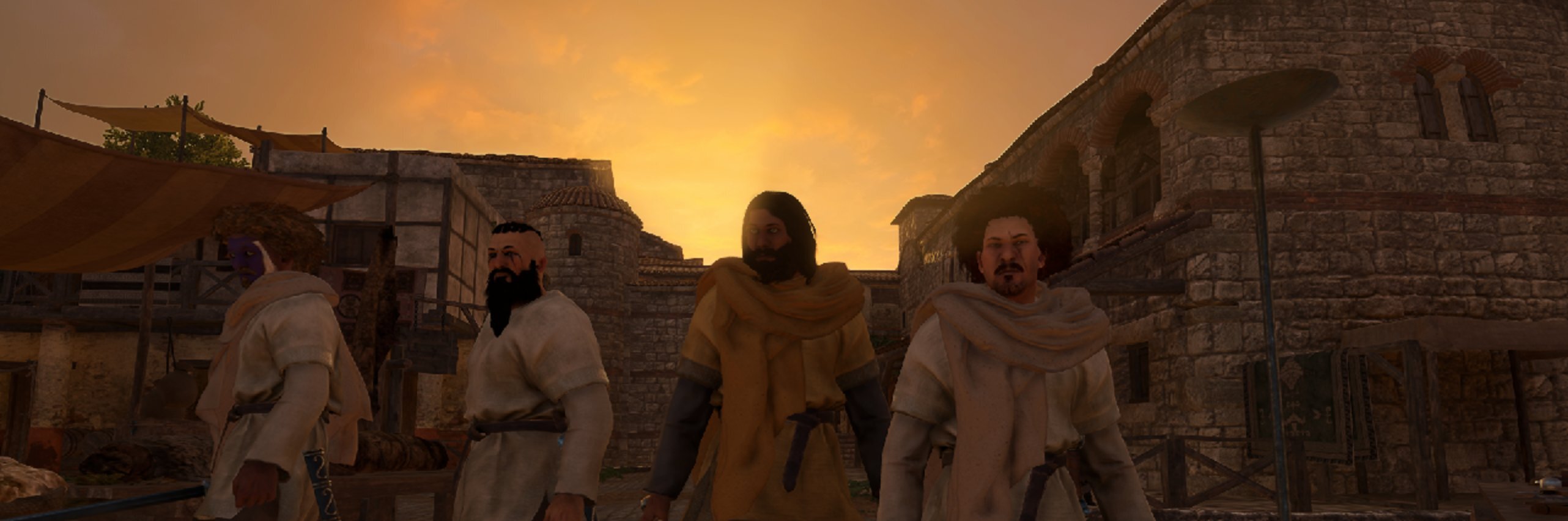 creator cover Bannerlord Coop
