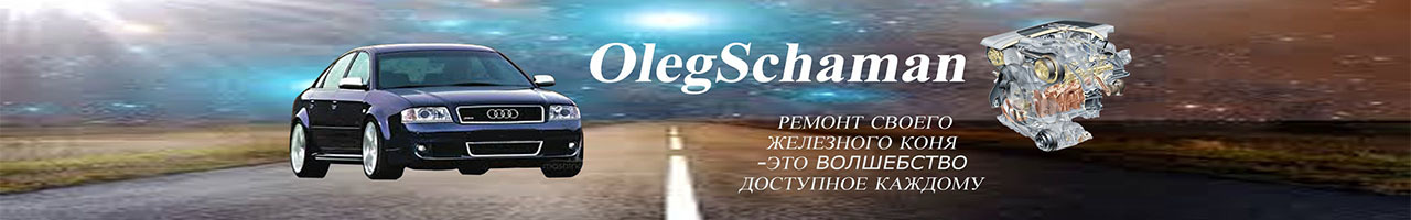 обложка автора OlegSchaman