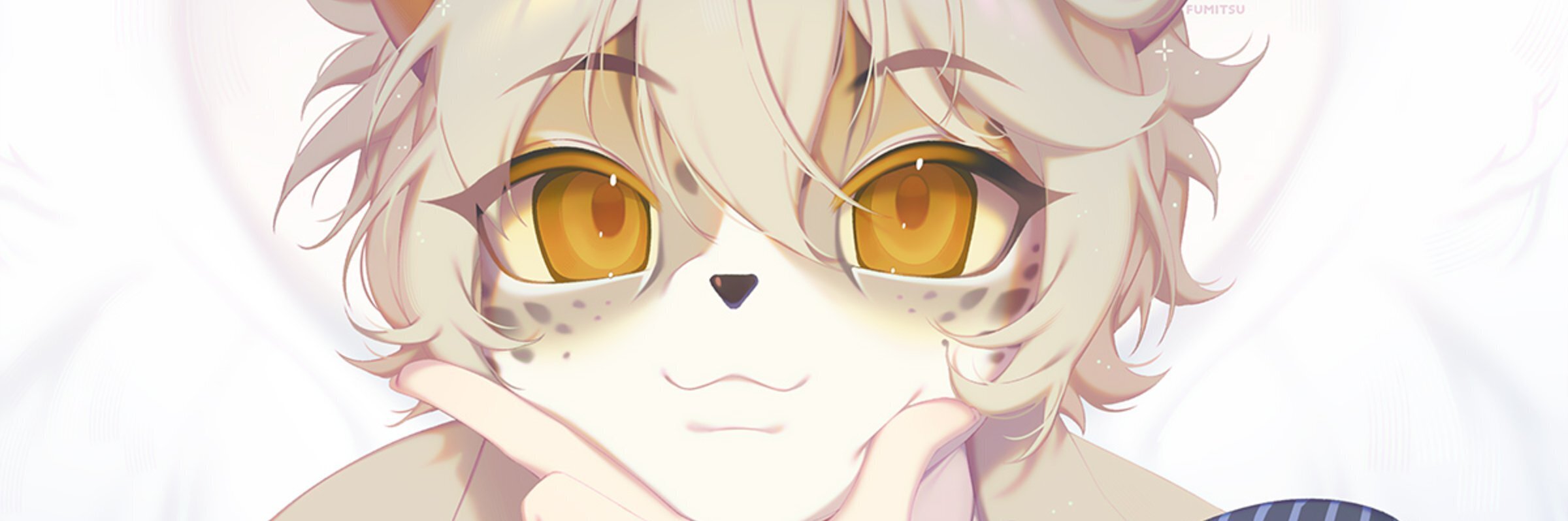 creator cover fumitsu