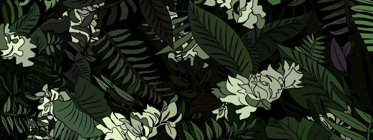 creator cover Bappea