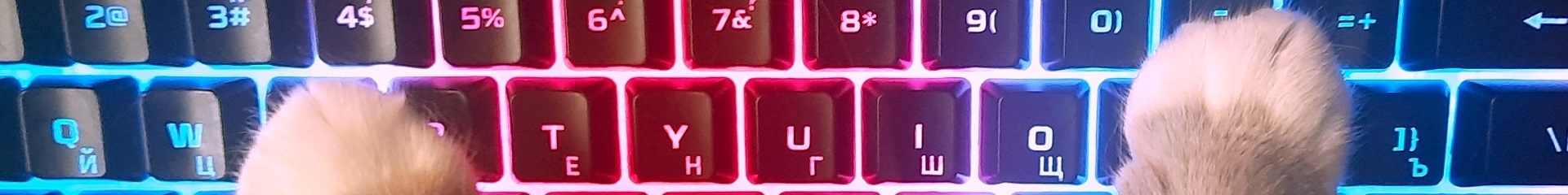 creator cover Dyzzet