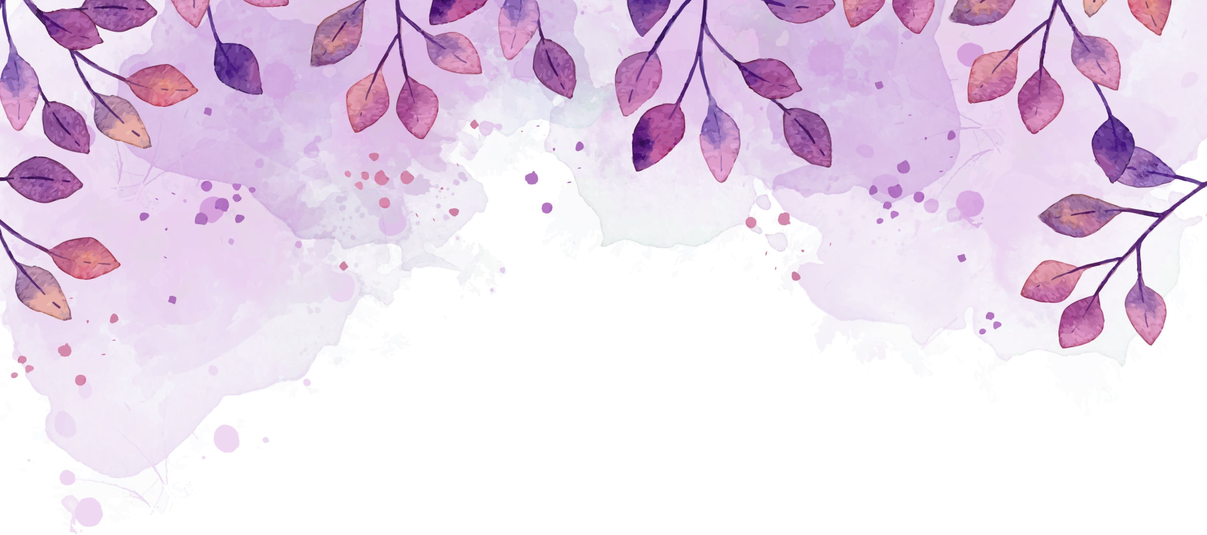 creator cover Maria Sokol