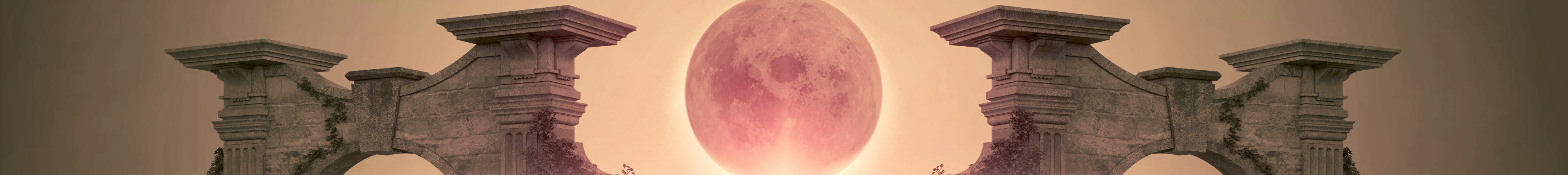 creator cover Anna Morion