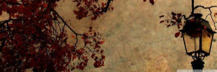 creator cover Ли 李