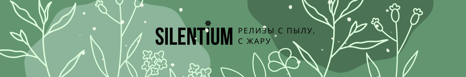 creator cover Silentium