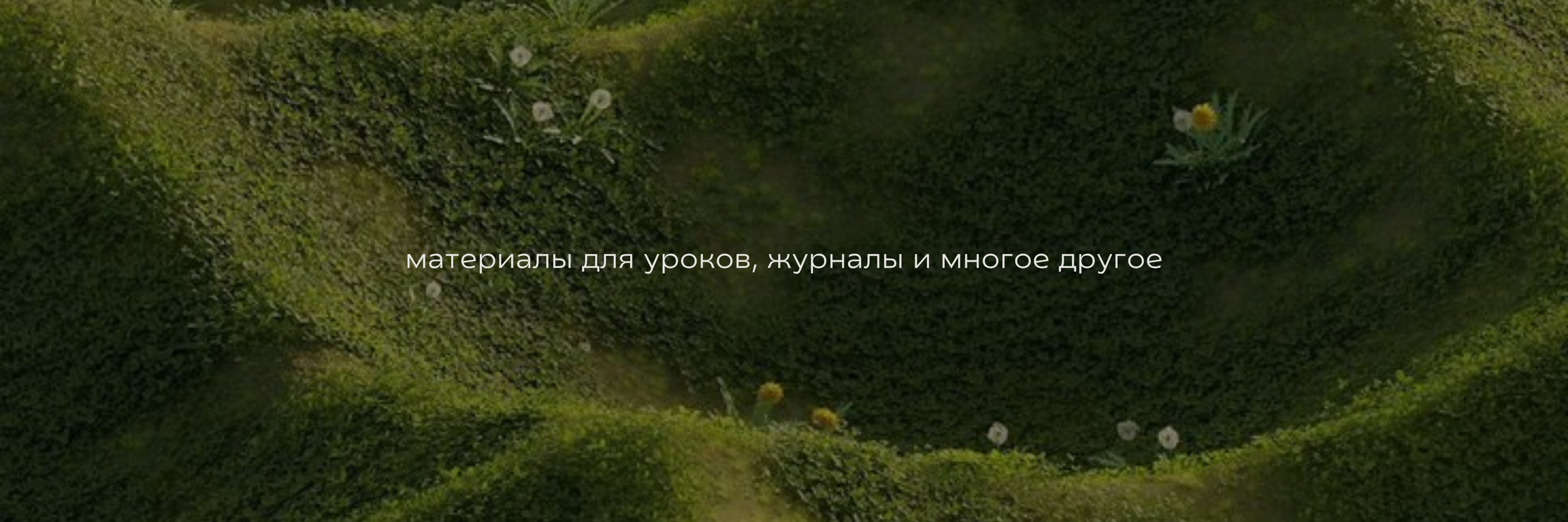 creator cover ENG.LEXIS | Алёна Походная