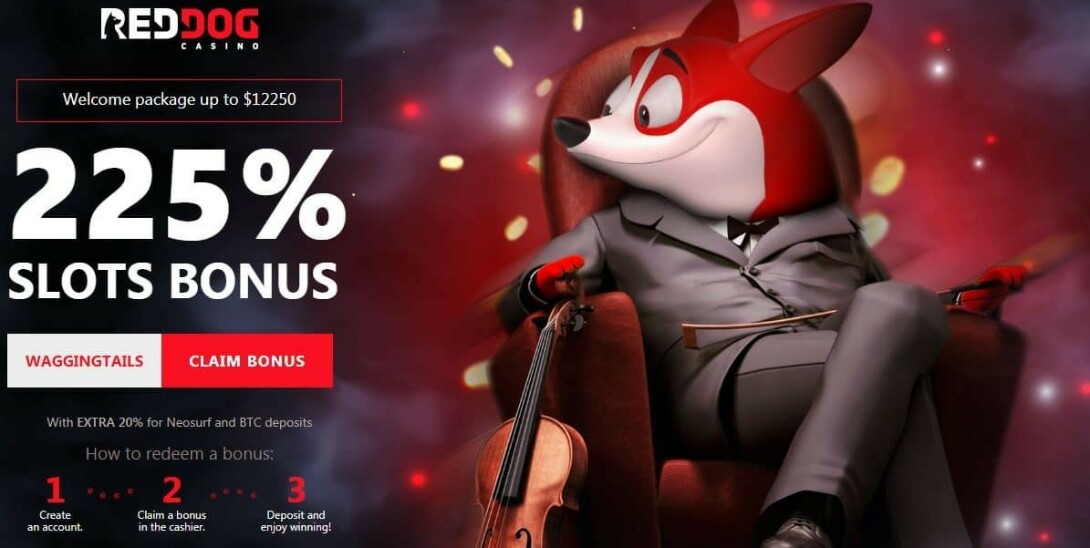 RED DOG Casino Online Bonus Codes No Deposit! 45 Free Spins! - Online