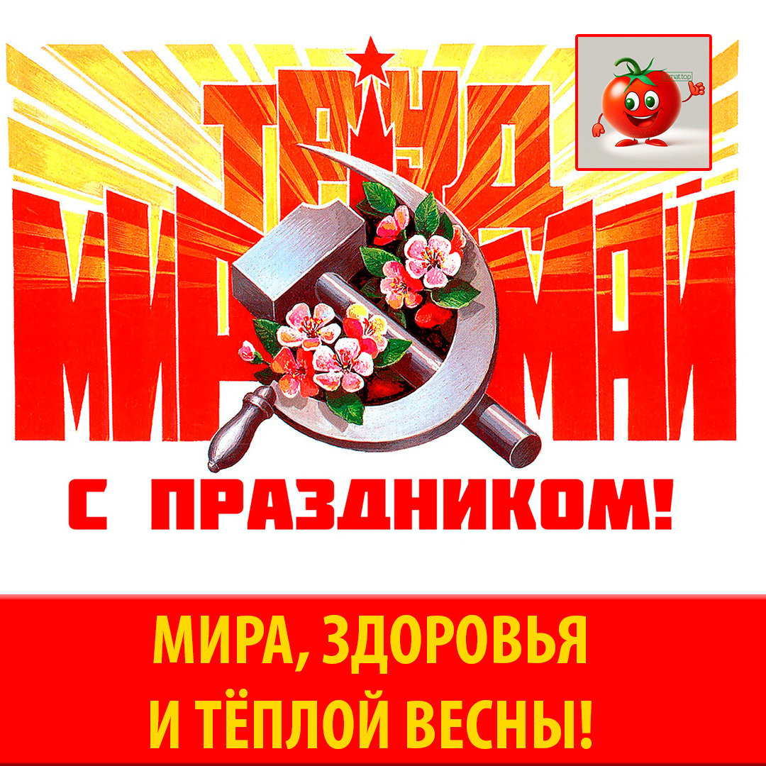 День международной солидарности трудящихся 1 мая поздравления. День солидарности трудящихся. 1 Мая день международной солидарности трудящихся. День международной солидарности трудящихся открытка. Международный день солидарности.