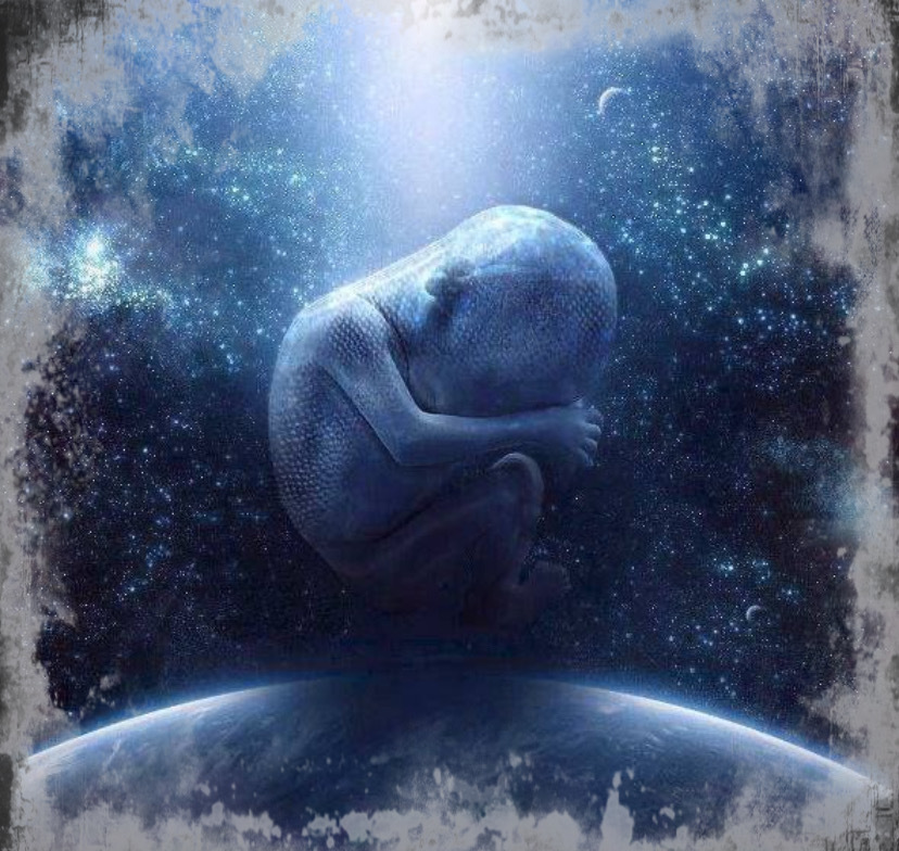 Видео рождение жизни. Рождение жизни. Рождение новой жизни. Рождение и жизнь человека. Младенец и Вселенная.
