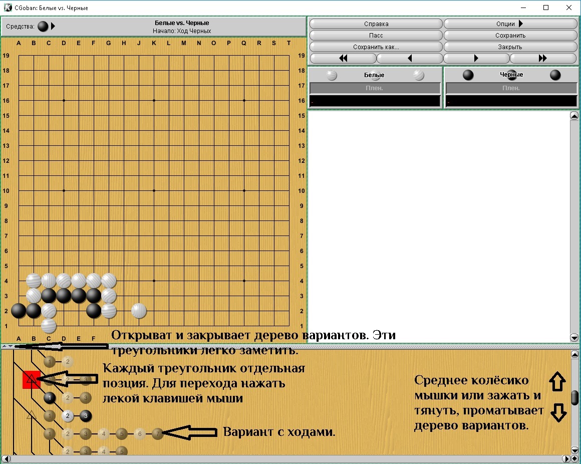 Как открывать файлы в формате .sgf и записывать решения - Югэн | Boosty