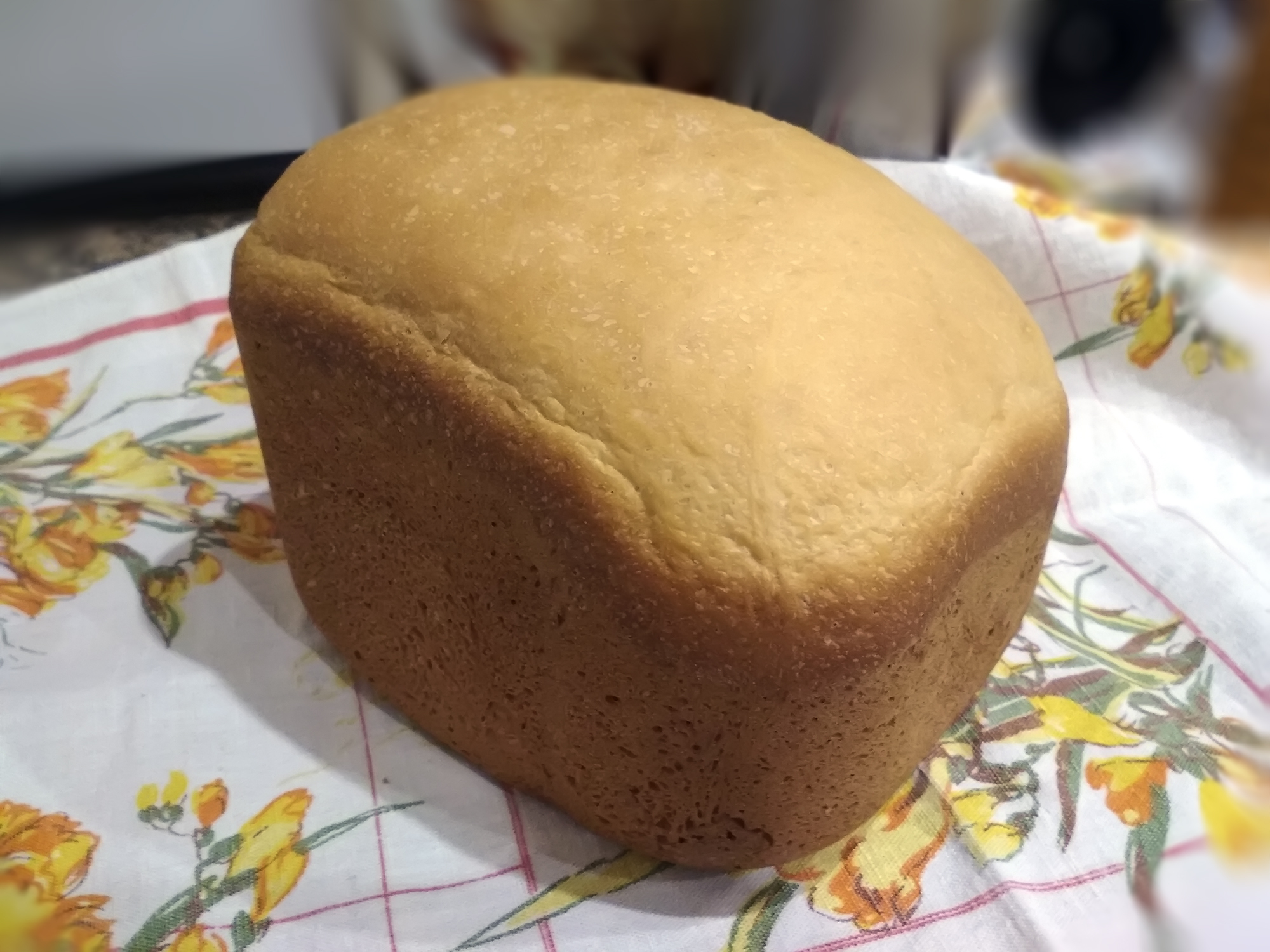 Почему хлеб опускается. Хлеб в хлебопечке горение. Белый хлеб в хлебопечке Oursson. Опал хлеб в хлебопечке. Опал хлеб в хлебопечка.