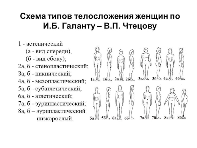 Половая конституция у женщин таблица Как определить женщине 35/48