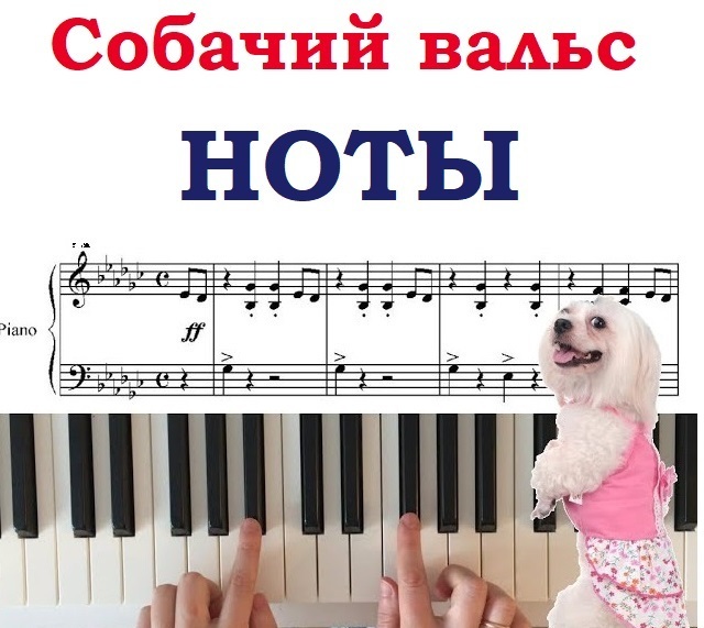 Собачий вальс картинка на пианино. Собачий вальс на фортепиано. Собачий вальс на пианино. Сыграть собачий вальс на синтезаторе. Собачий вальс Ноты для фортепиано.