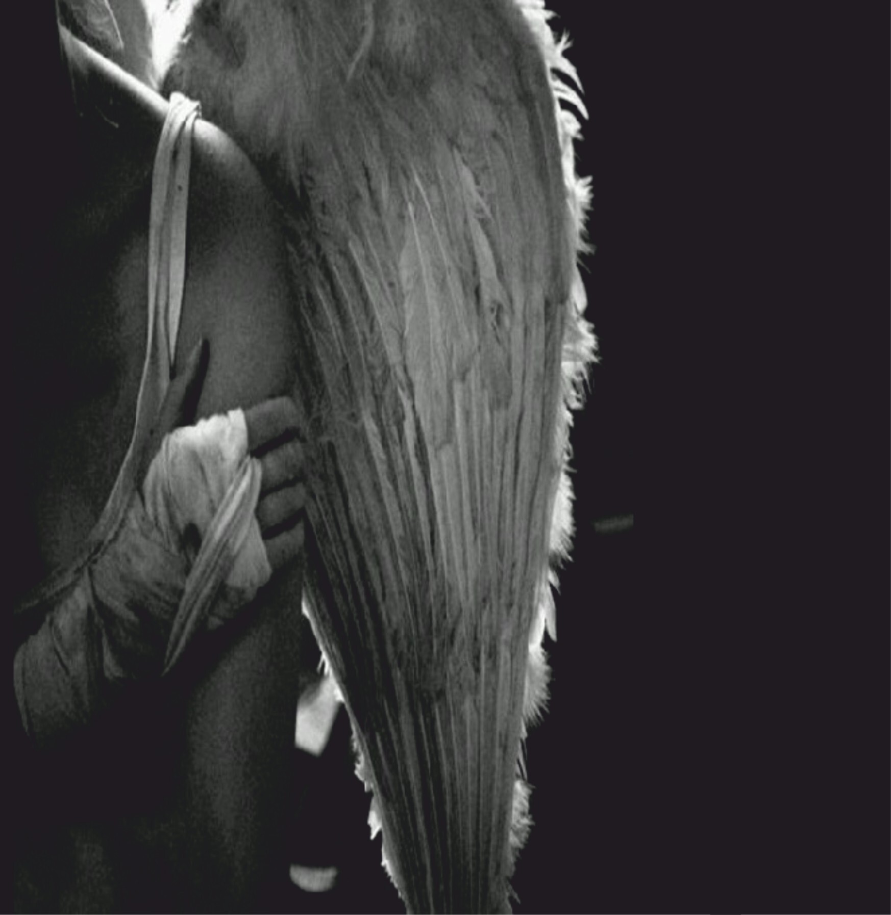 Ангел с обскубанными крыльями