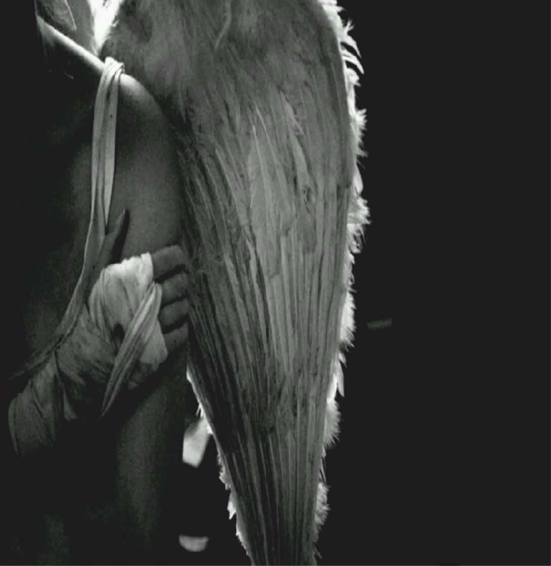 Ангел с обскубанными крыльями