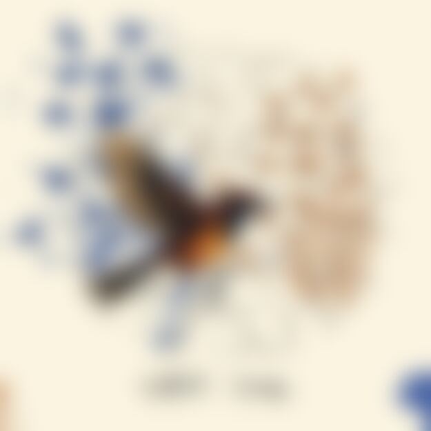 Wren, Amadou Suso - Wings - flac music | Boosty