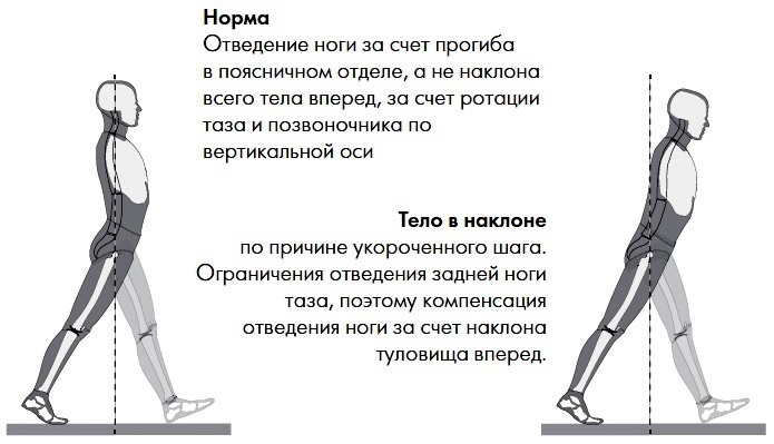 Главная опора при движении. Биомеханика ходьбы человека норма. Правильная биомеханика ходьбы. Биомеханика шага. Биомеханика походки человека.