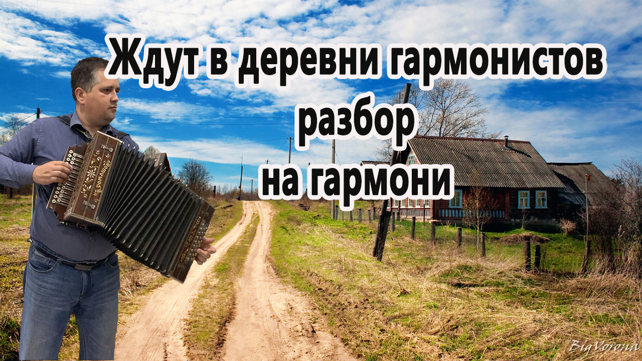 Деревня моя разбор на гармони. Гармонь в деревне разбор. Гармонь в деревне разборы на гармони. Гармонист в деревне. Гармонисты на свадьбе в деревне.