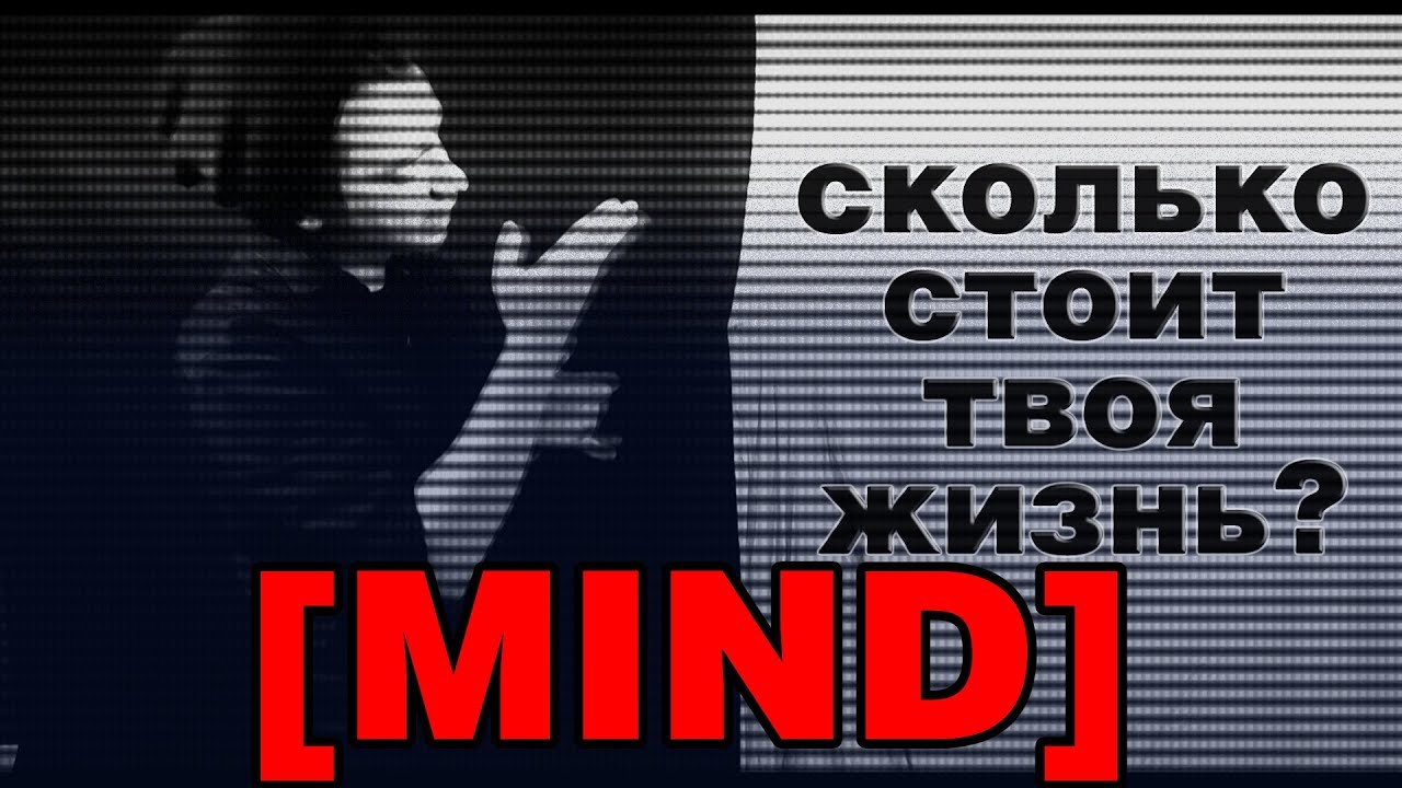 Сколько стоят твои