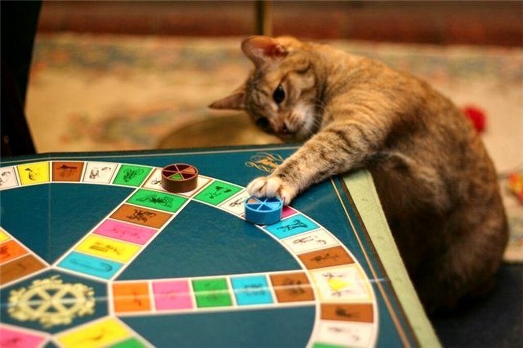 Cat casino где играть. Настолки и кот. Настольная игра котики. Кот казино. Кот играет в настолки.