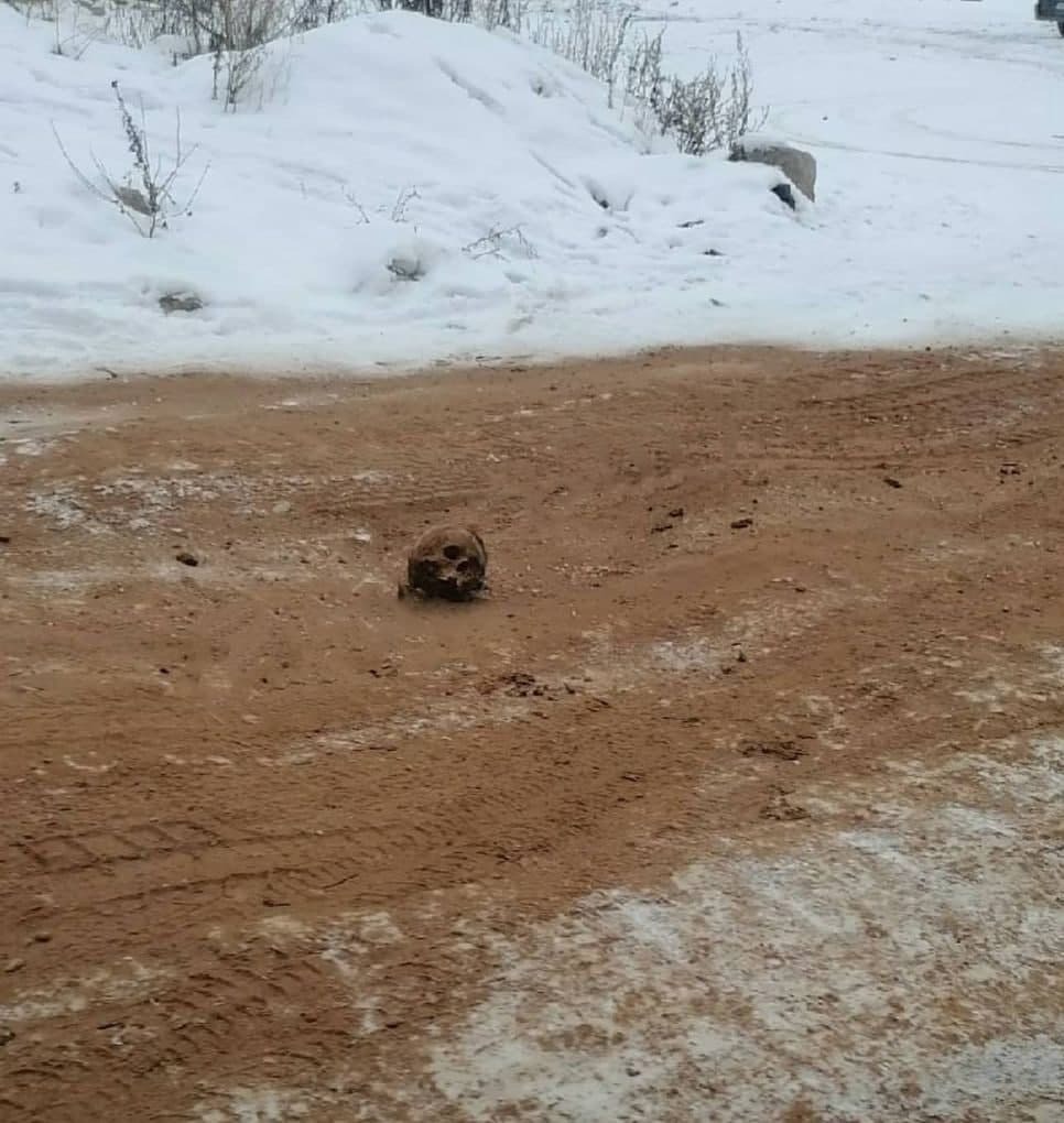 Вечный день туалета, и прочие ДНОвости!