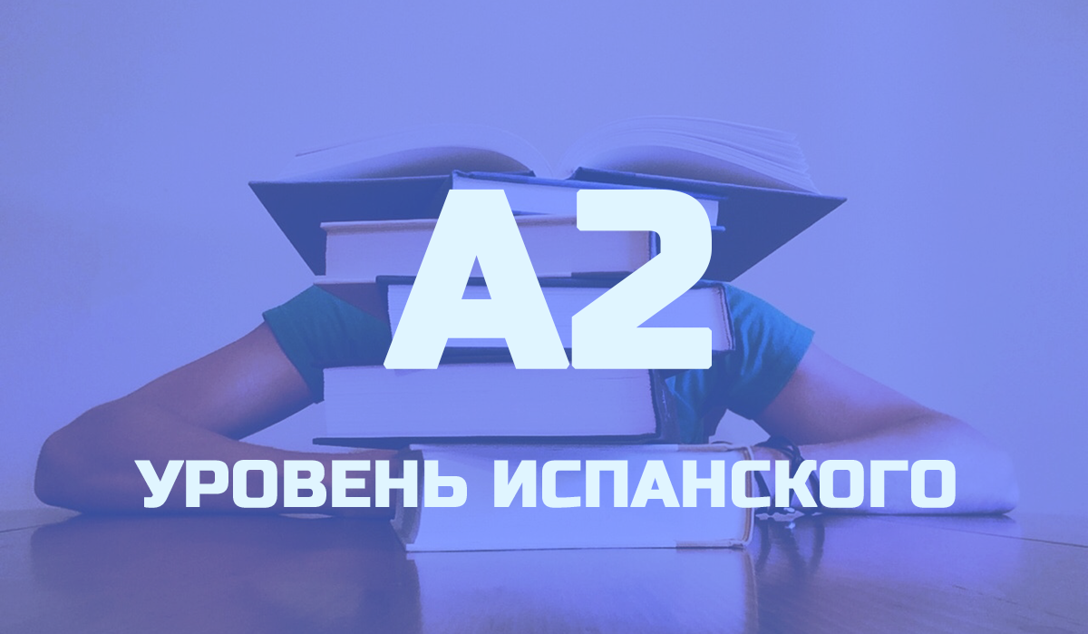 Сколько отрезков на чертеже выберите и напишите правильный из предложенных ответов