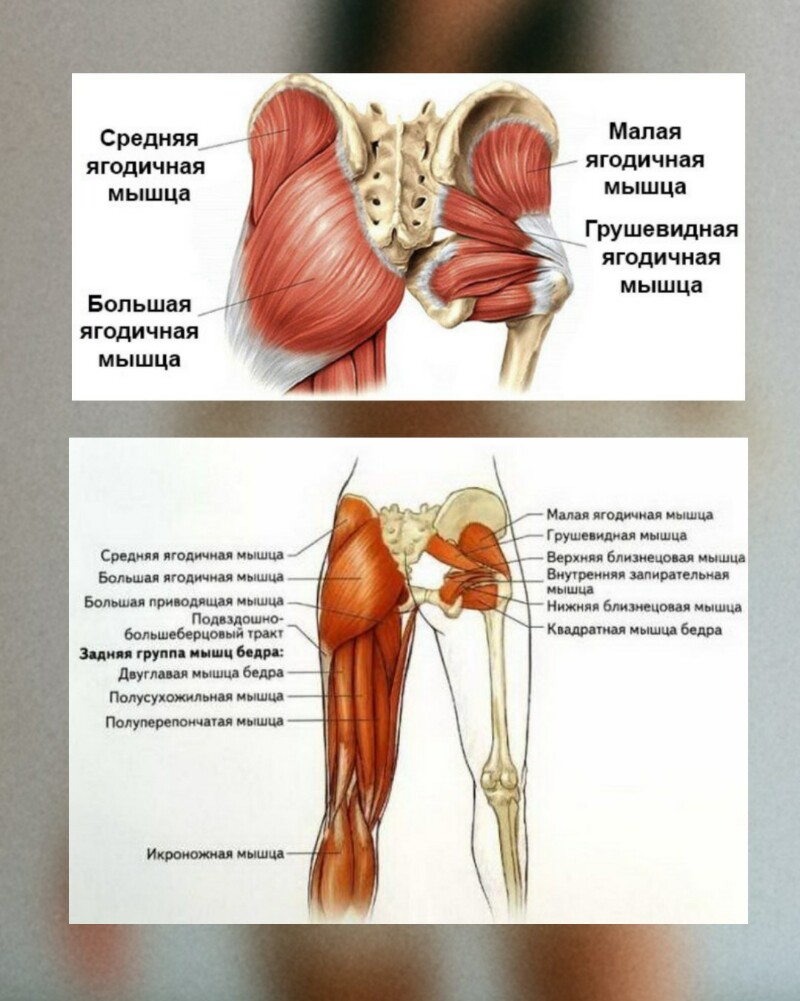 Почему популярные упражнения на ягодицы не работают - Mariya Nechaeva |  Boosty