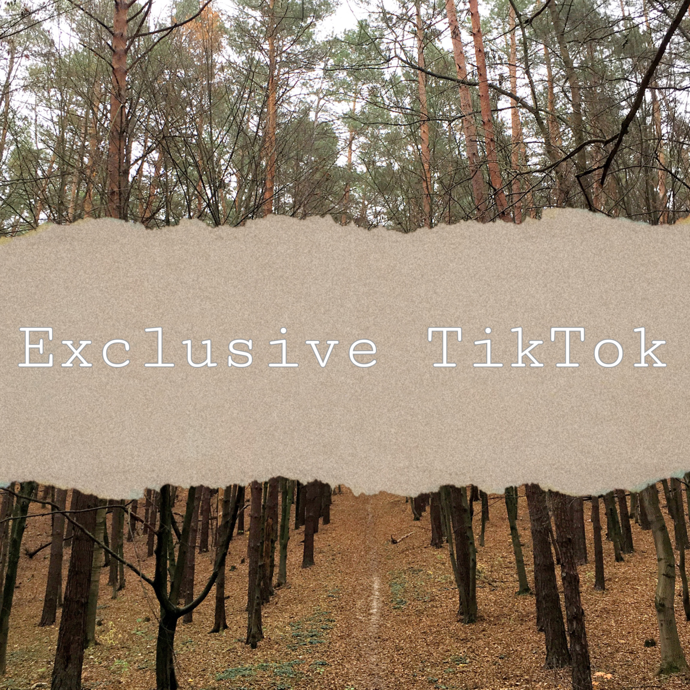 Karely Ruiz'S Dating Preferences: Exclusive Tiktok Details - ot2seci