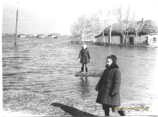 Жители Мучкапа никогда не ездили на море. Море, каждую весну, приходило к ним само. 1963 г. 