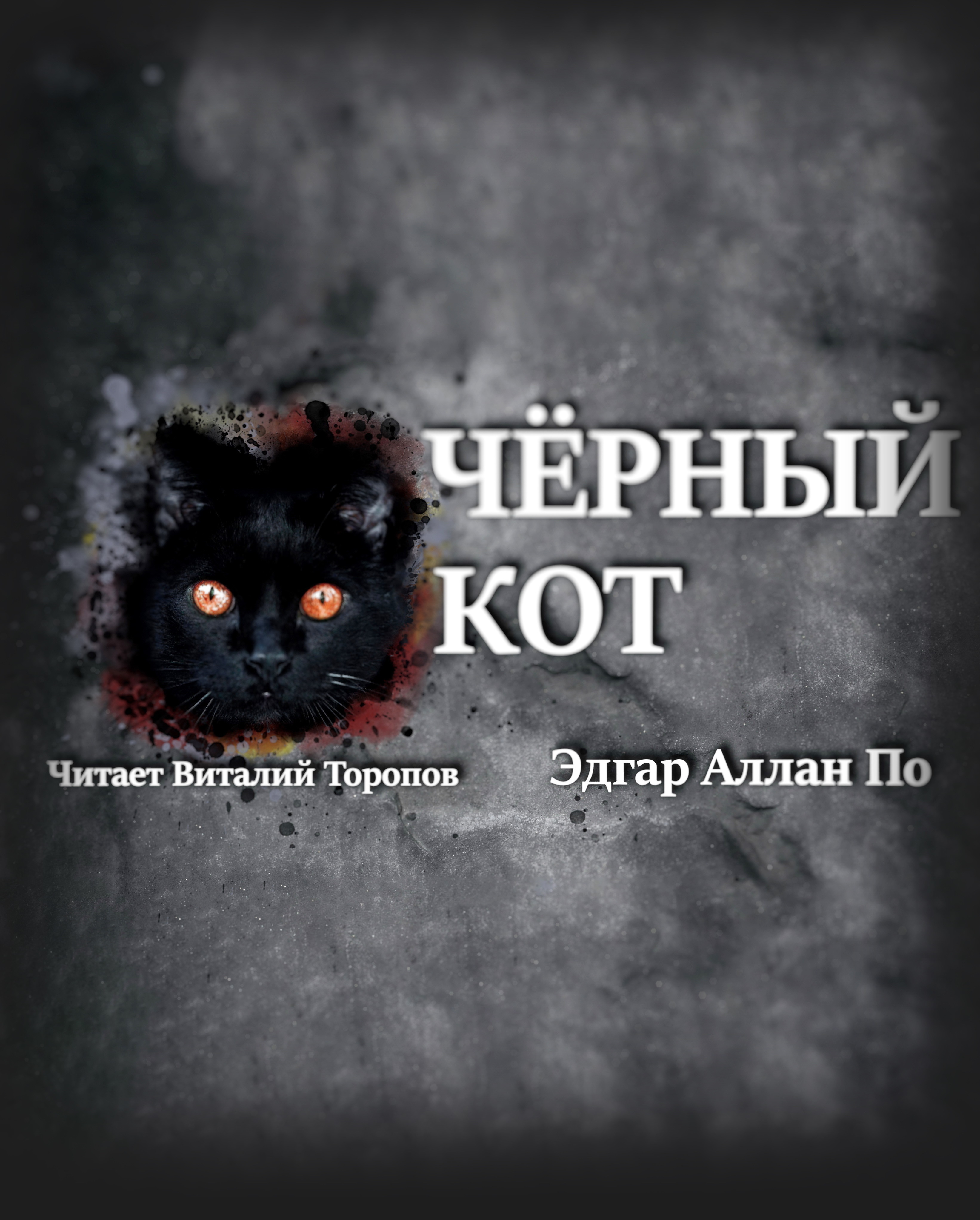 Аудиокнига про кота. Аудио - про котов.. Кот с черными волосами Эдгара. Кошачья голова аудиокнига. Аудиокниги кот который