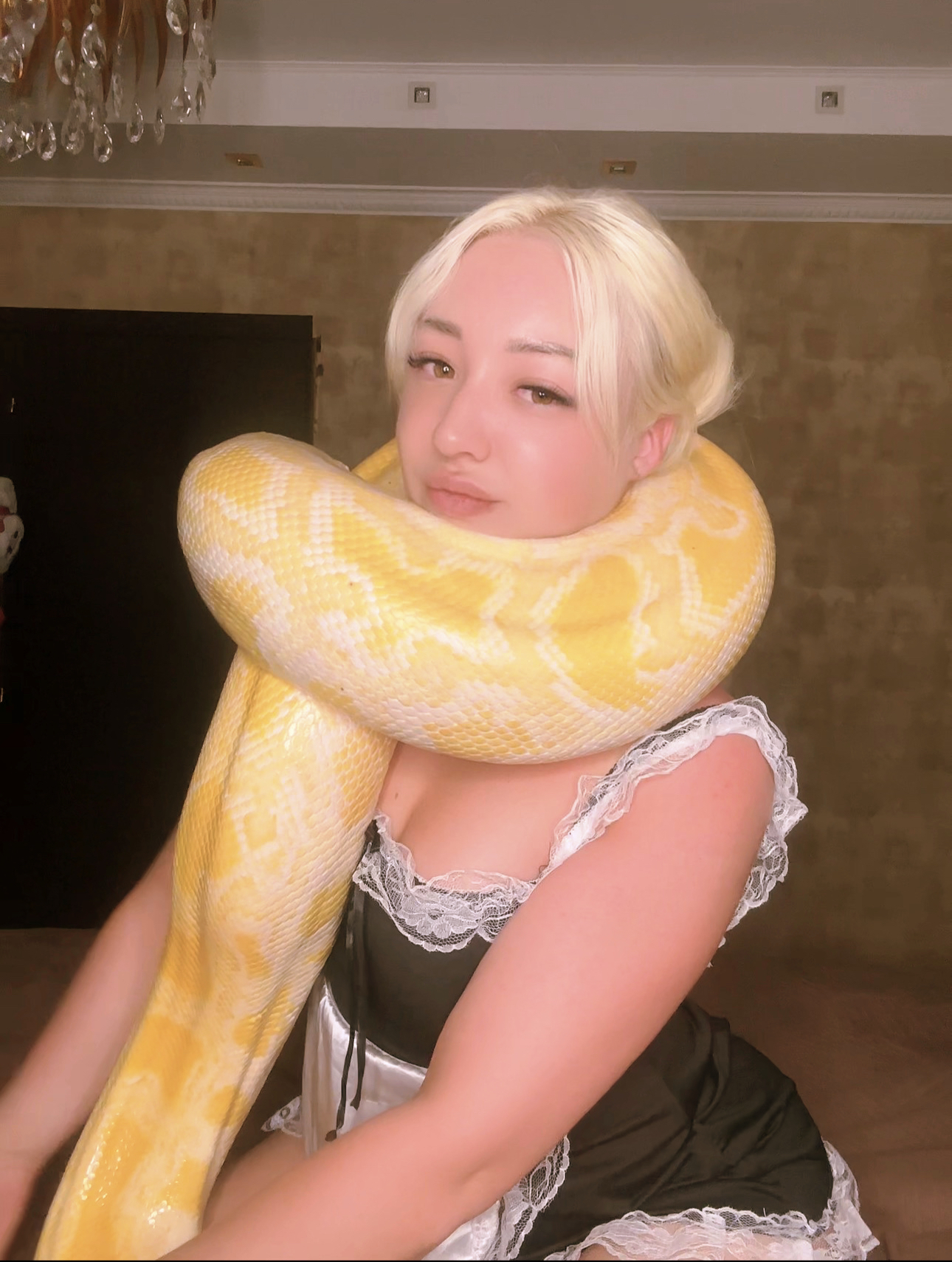 😁 - Donna Kristina ️Snake Boosty