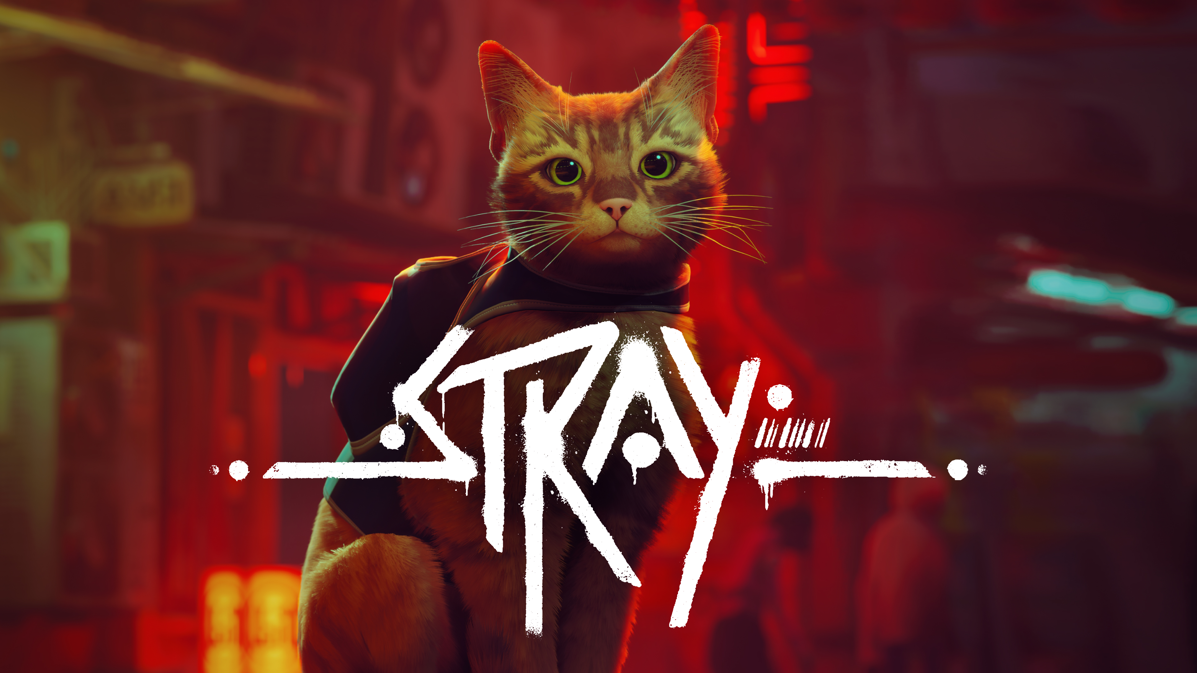 Версия коты. Stray игра. Кот киберпанк. СТРЕЙ игра котик. Игры для кошек.