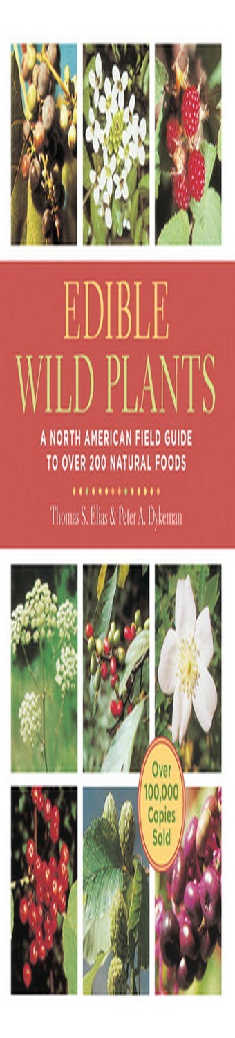 [Ebook]^^ Edible Wild Plants A North American Field Guide to Over 200 ...