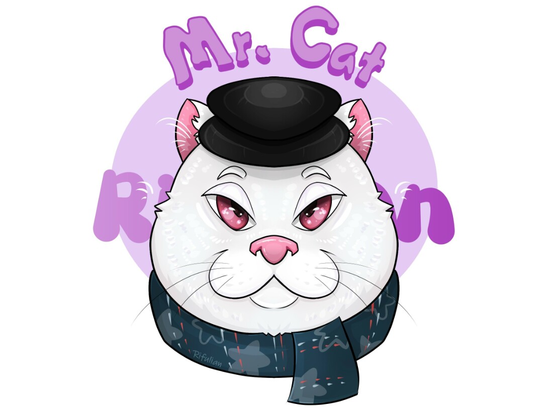 Mr cat