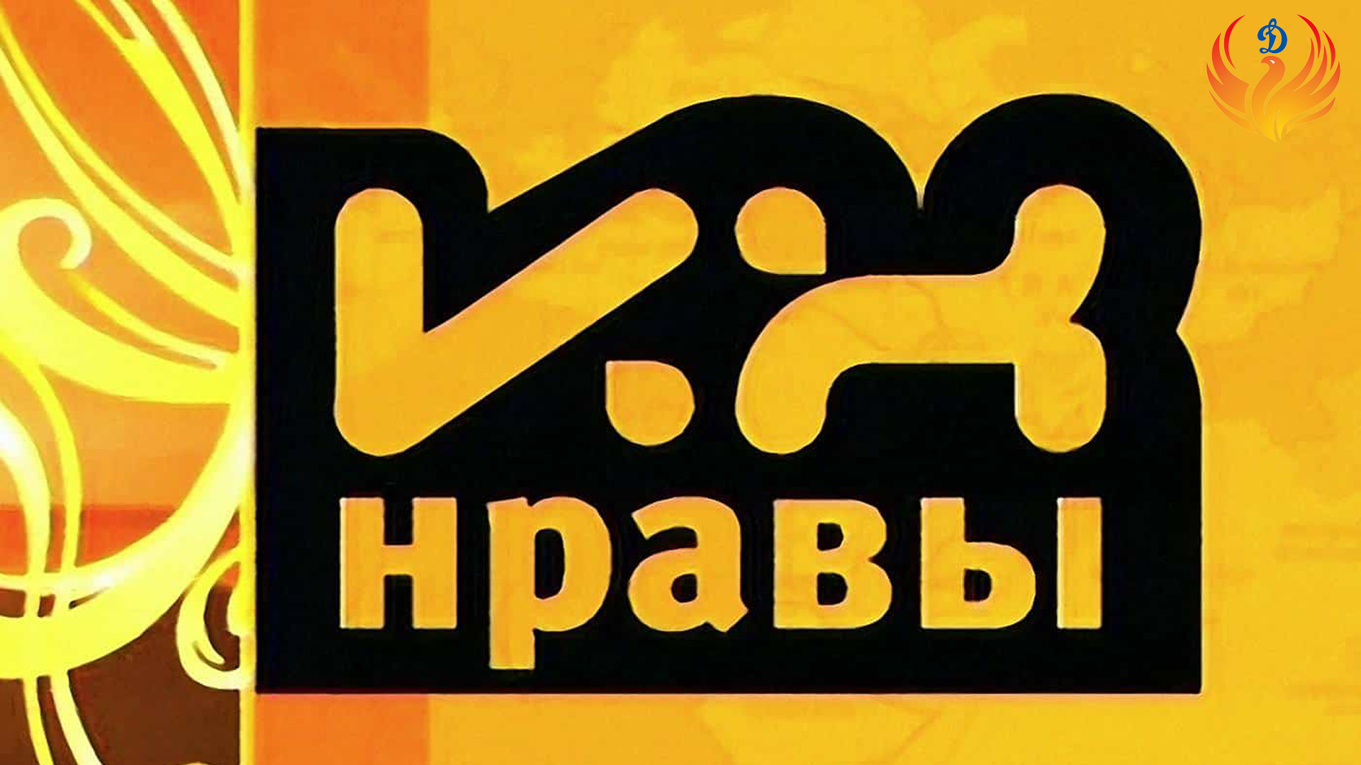 Включи нрав. Их нравы. Их нравы НТВ. Их нравы передача. НТВ стиль их нравы.