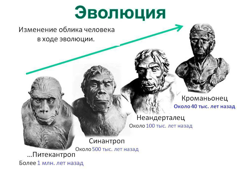 Как менялись древние люди