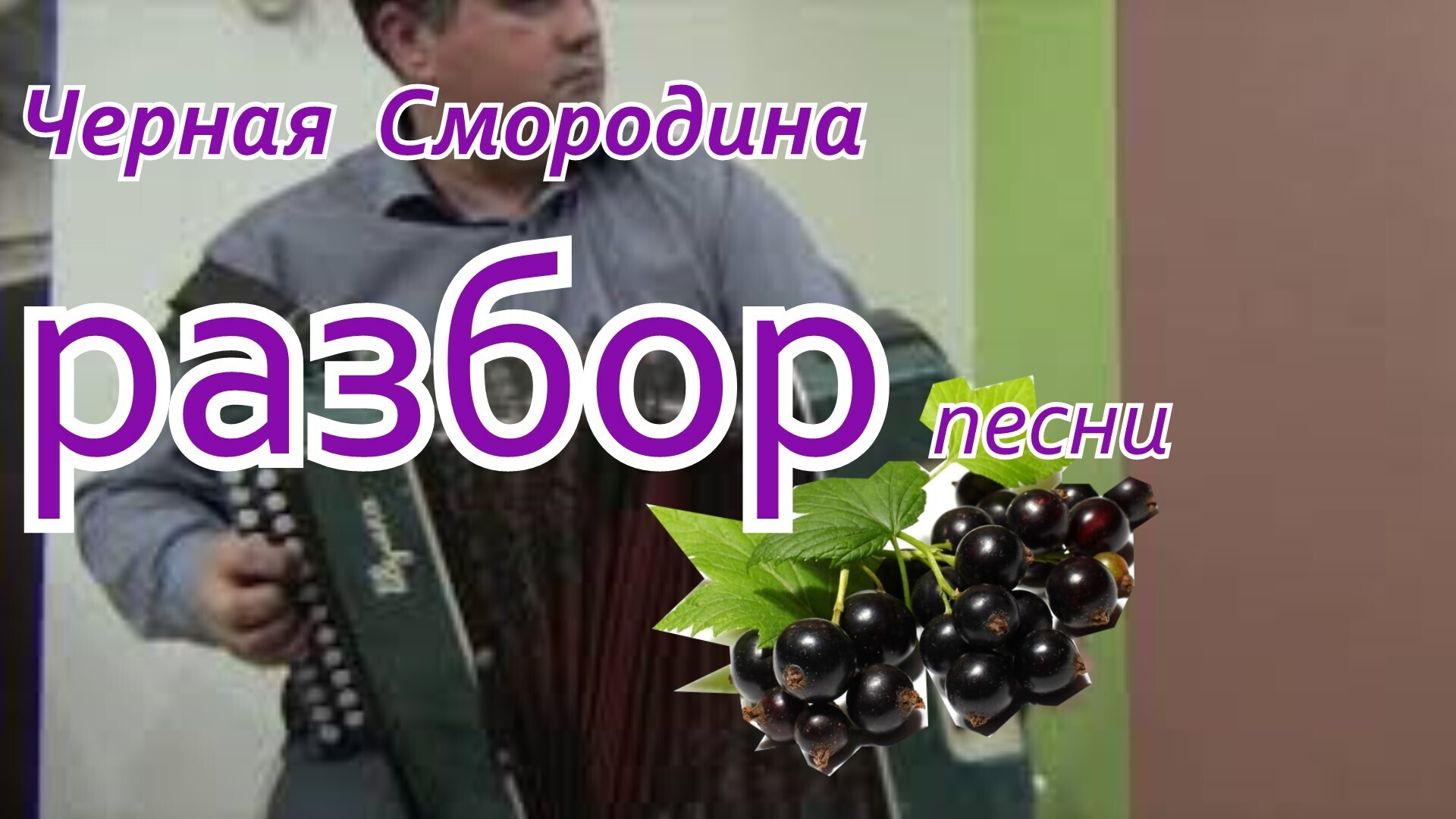 Песня смородина. Гармонь черная смородина. Разбор на гармони чёрная смородина. Песни черная смородина. Смородина разбор.