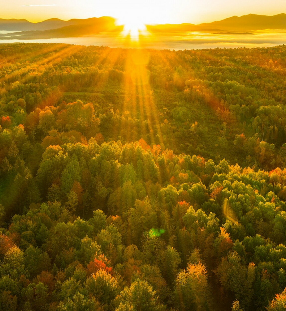 Солнце над лесом. Рассвет. Рассвет в лесу. Осенний Восход. Утро рассвет.