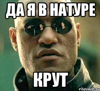 Зовите меня крутой. Да ты крут Мем. Да я крут. Да в натуре Мем. Ты в натуре.