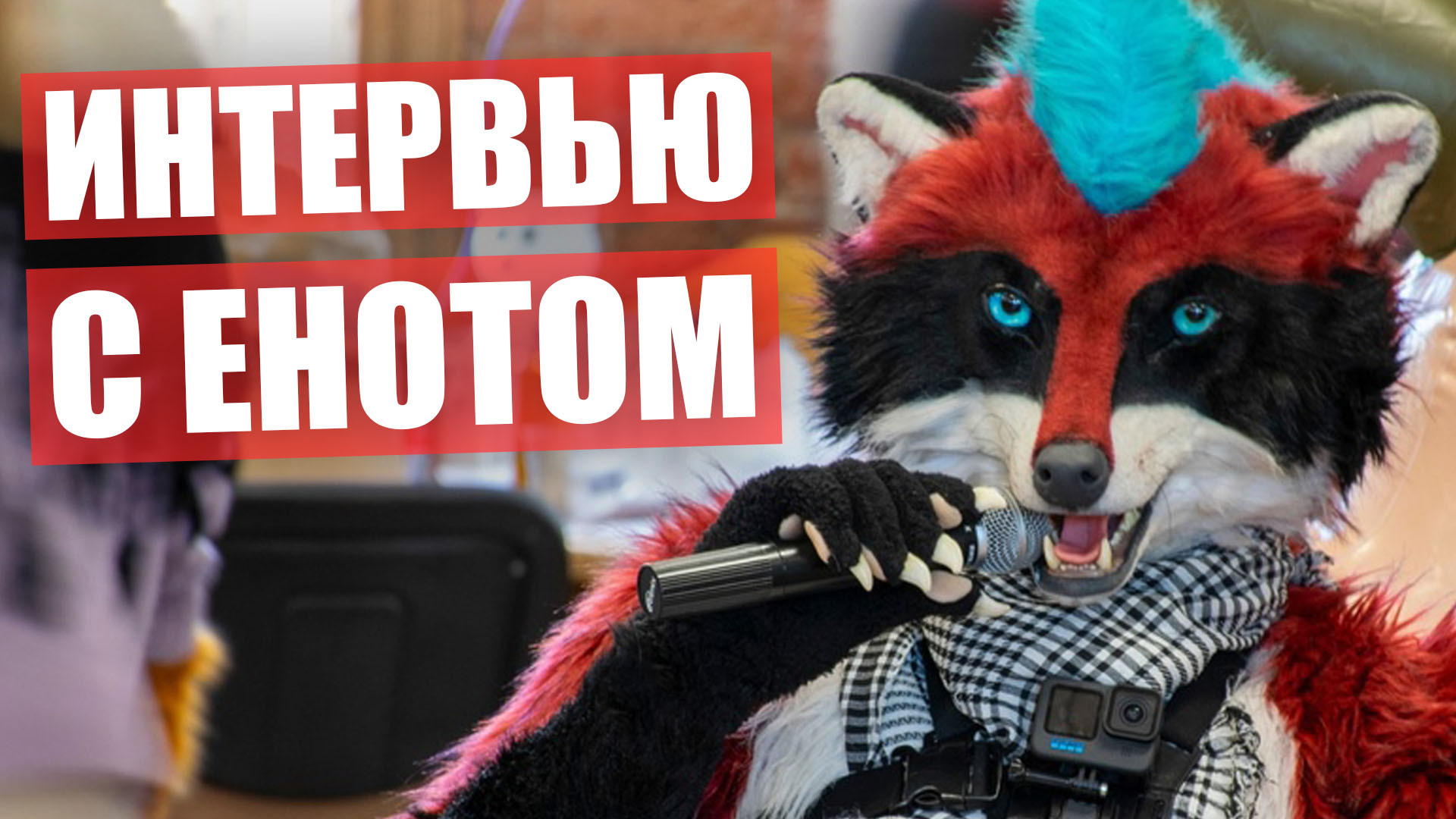 Енот фурри эрик