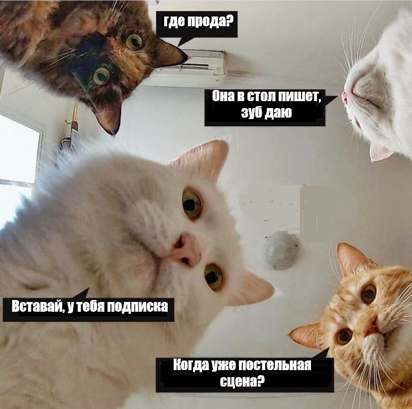 Замолчи там. Замолчи там